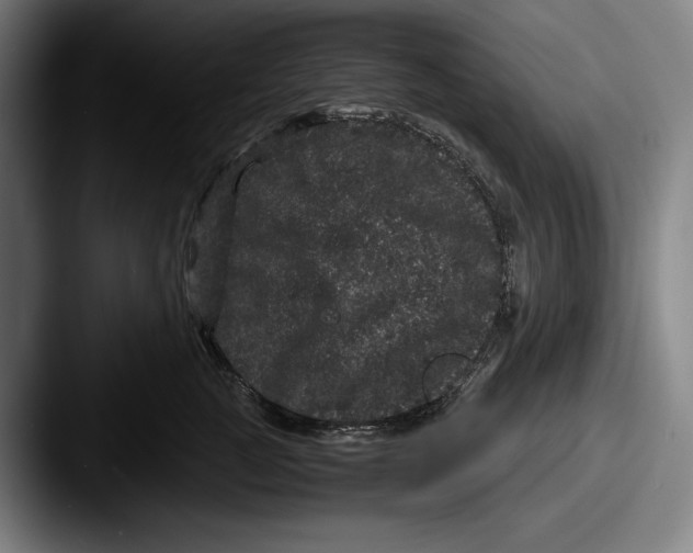 X0000087580761200705181201