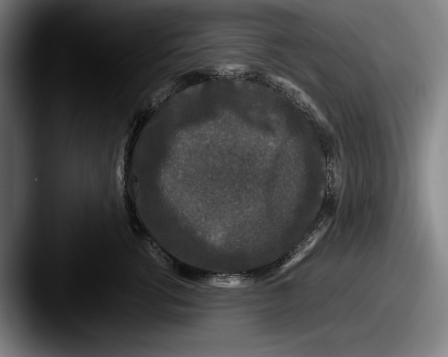 X0000087580762200705181201