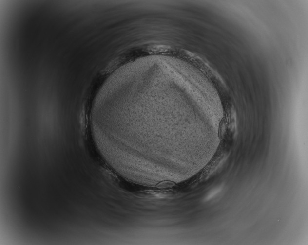 X0000087580763200705181201