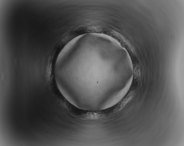 X0000087580764200705181201