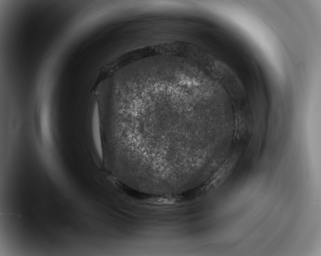 X0000087580765200705181201