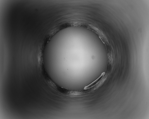 X0000087580766200705181201