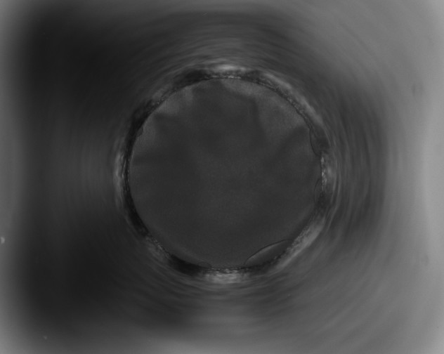 X0000087580767200705181201