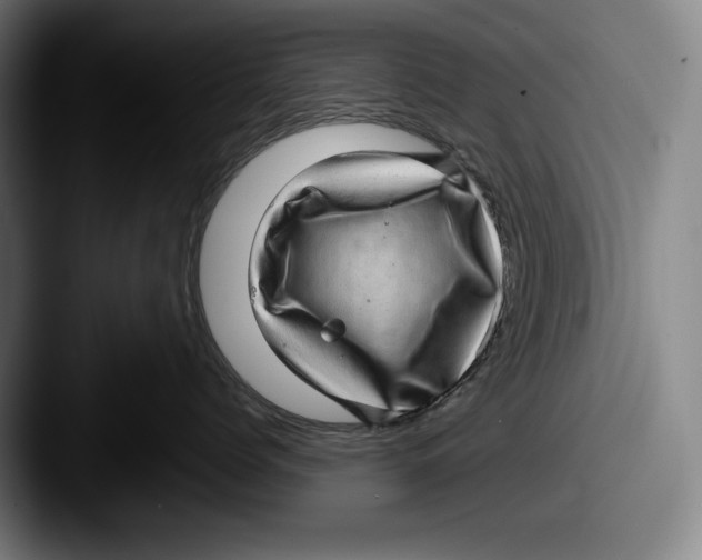 X0000087580768200705181201