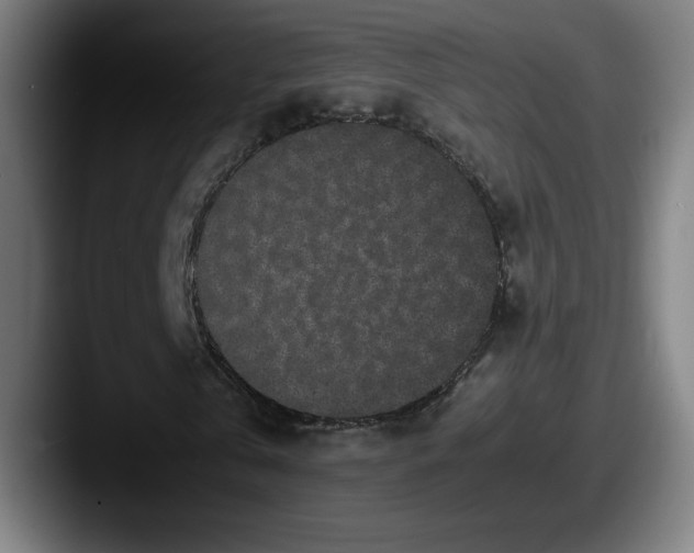 X0000087580769200705181200