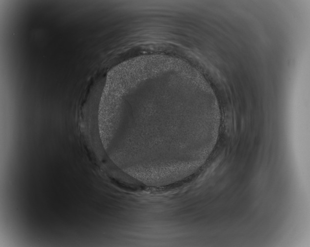X0000087580770200705181200
