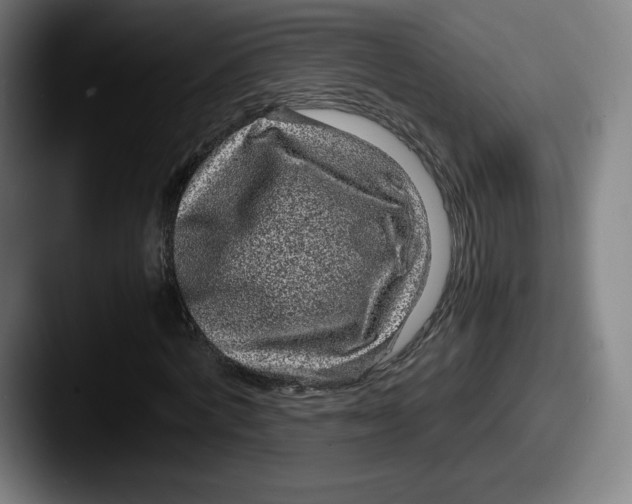 X0000087580772200705181200