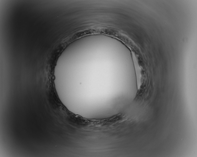 X0000087580773200705181200