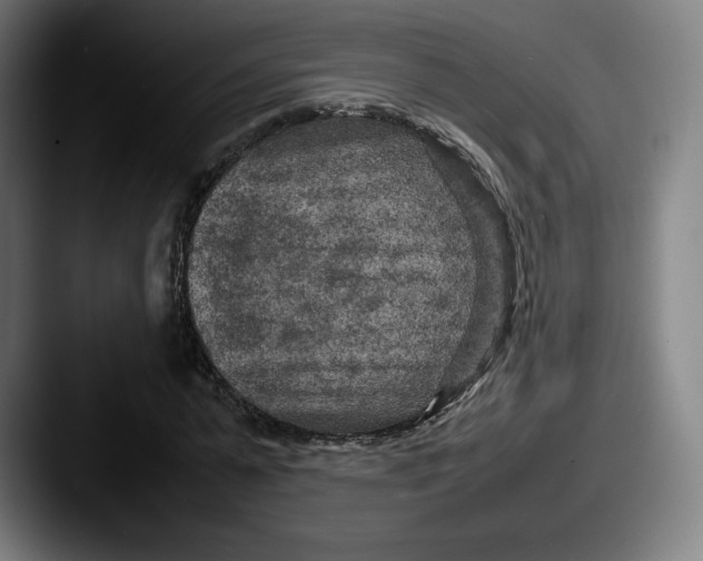 X0000087580775200705181200