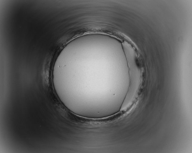 X0000087580777200705181200