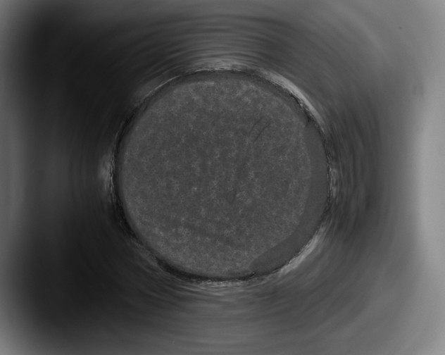 X0000087580778200705181200