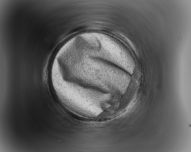 X0000087580779200705181200