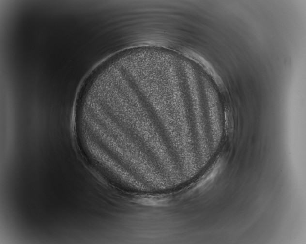 X0000087580780200705181200