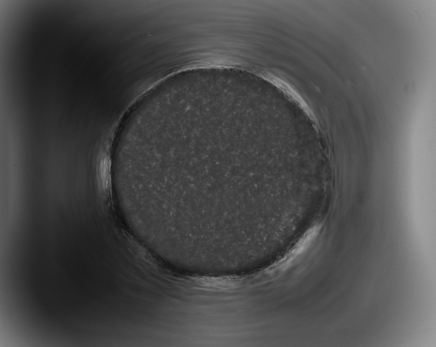 X0000087580781200705181200