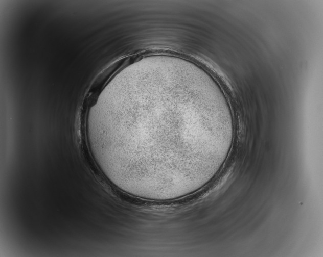 X0000087580782200705181200