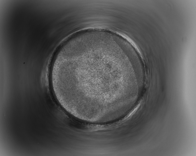 X0000087580783200705181200