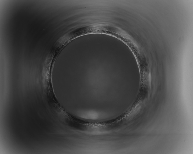 X0000087580785200705181200