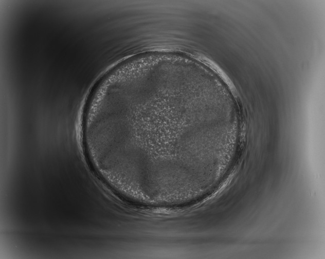 X0000087580787200705181200