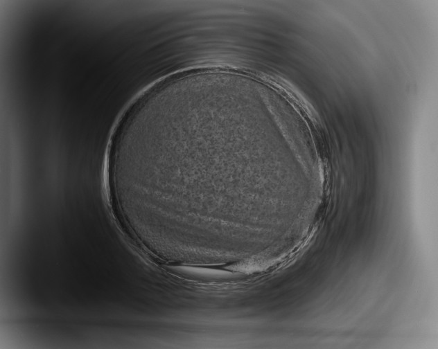 X0000087580788200705181200
