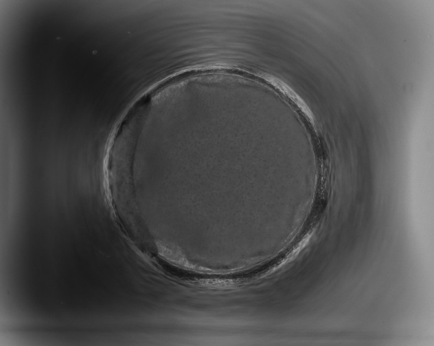 X0000087580789200705181200