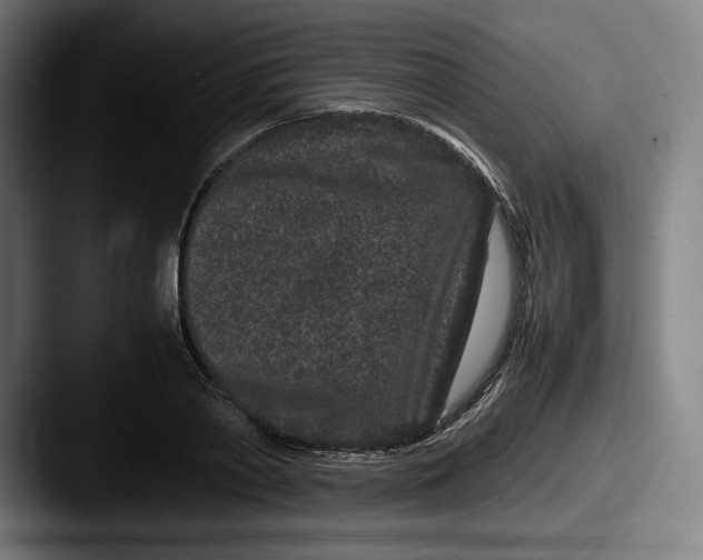 X0000087580790200705181200