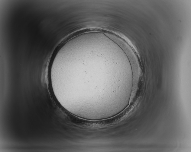 X0000087580791200705181200