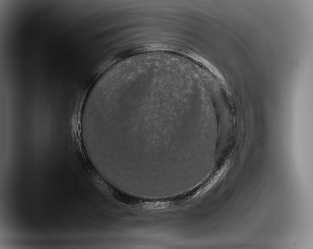 X0000087580793200705181200