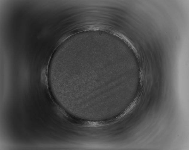 X0000087580794200705181200