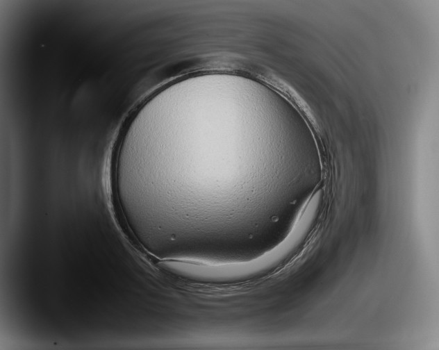X0000087580795200705181200