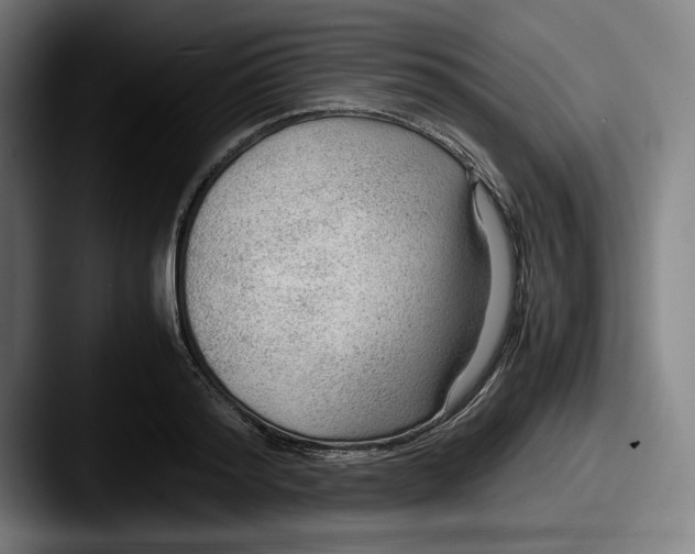 X0000087580796200705181200