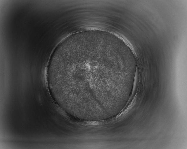 X0000087580798200705181200