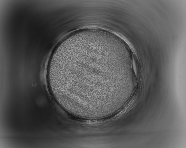 X0000087580799200705181200