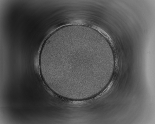 X0000087580800200705181200