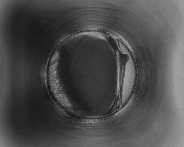 X0000087580802200705181200