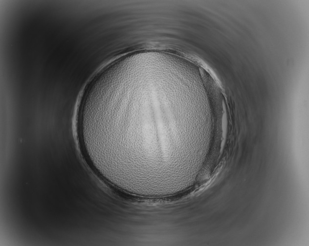 X0000087580803200705181200