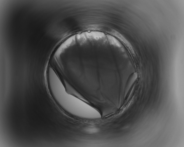 X0000087580806200705181200