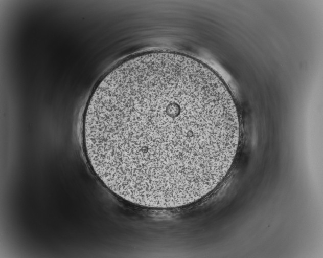 X0000087580807200705181200