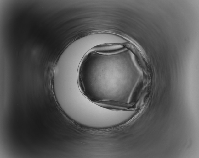 X0000087580809200705181200