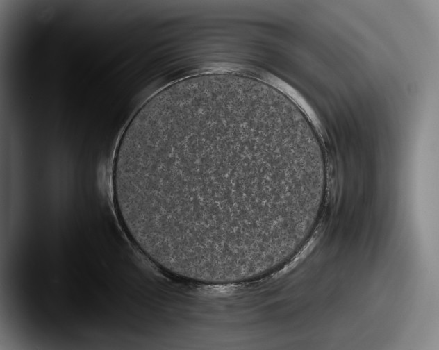 X0000087580810200705181200