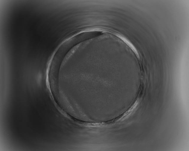 X0000087580813200705181200