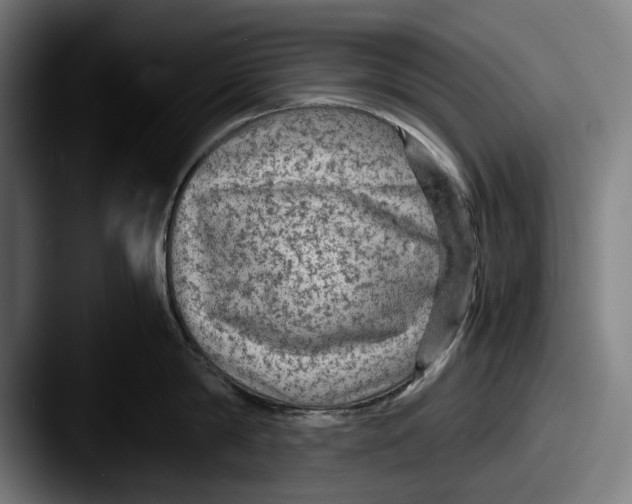 X0000087580814200705181200