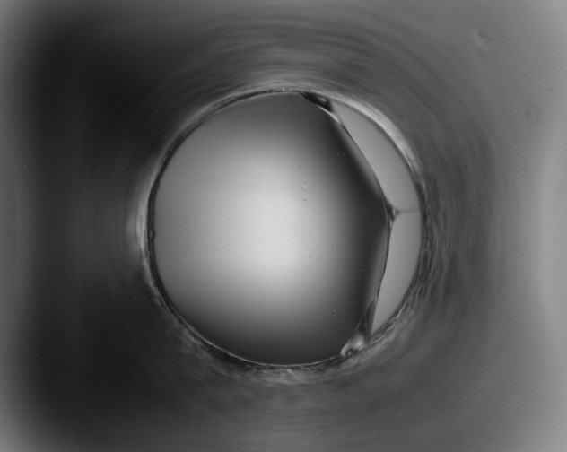 X0000087580815200705181200