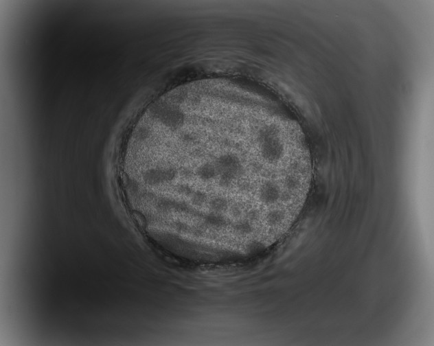 X0000087580817200705181159