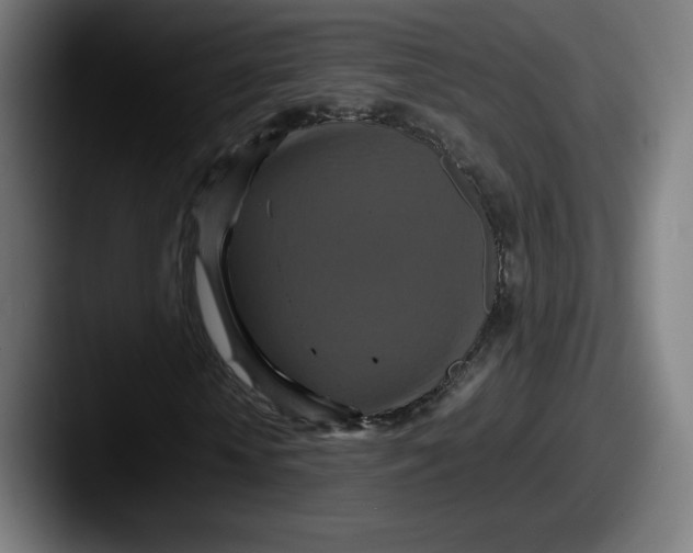 X0000087580818200705181159