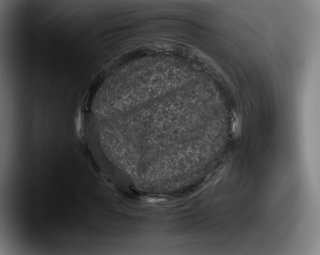X0000087580819200705181159