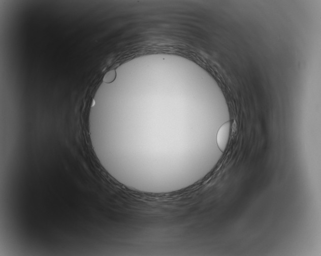 X0000087580820200705181159