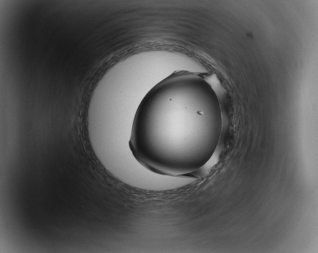 X0000087580822200705181159