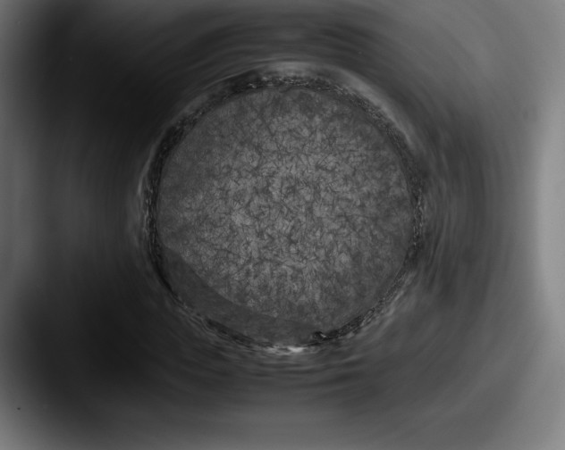 X0000087580823200705181159