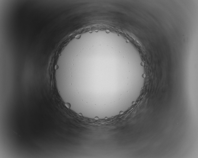 X0000087580824200705181159