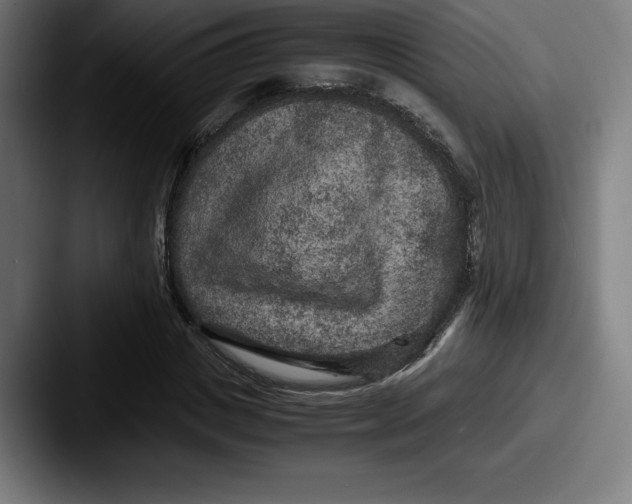 X0000087580825200705181159